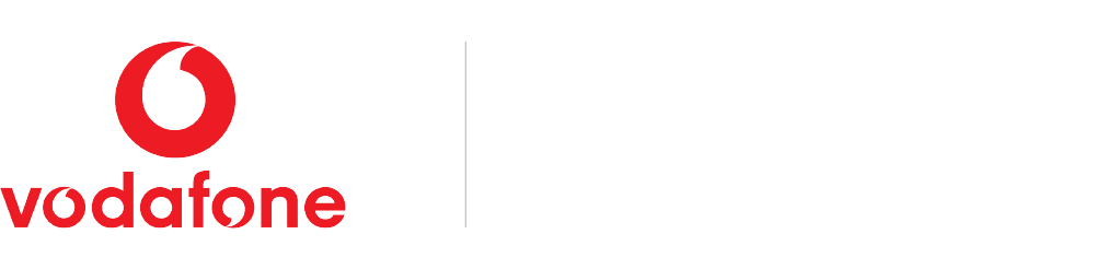 D100 | satis&fy Logo